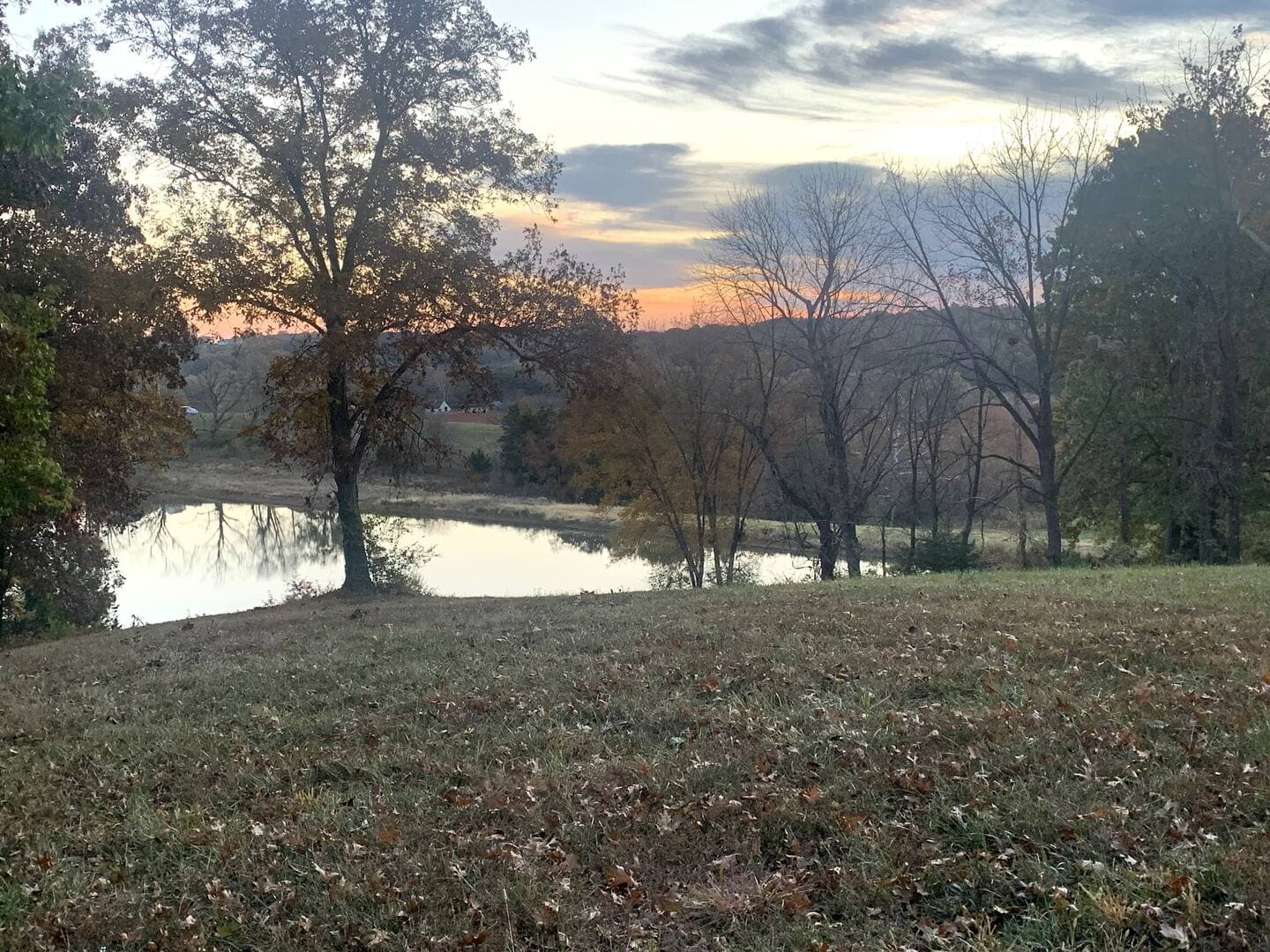 Quiet pond at one of the Maple Leaf properties